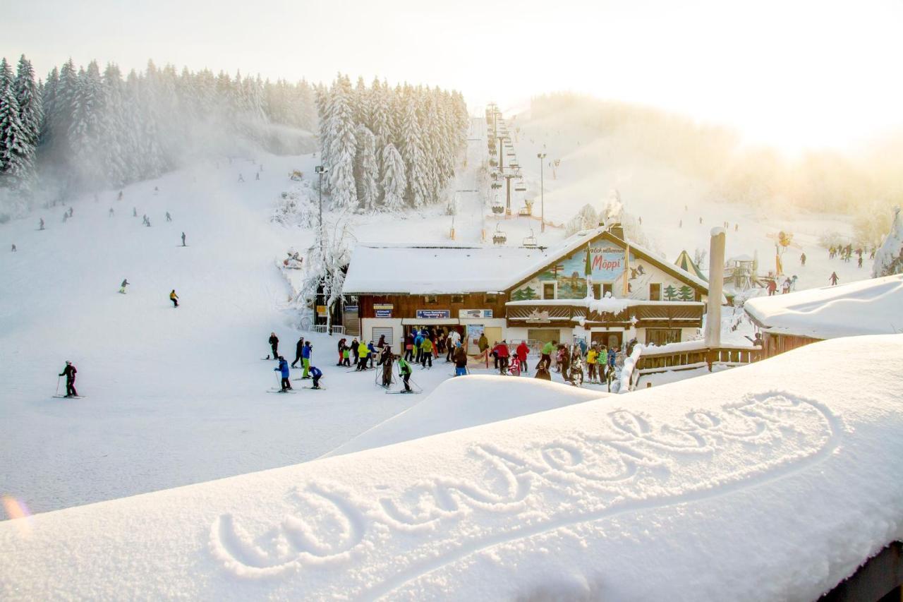 The Suite Winterberg Deluxe - Exklusive Ausstattung, Bestlage Zwischen Skikarussell Und Marktplatz, Eigener Garten, Ski- Und Fahrradraum, Ruhige Suedausrichtung, Wlan, Hundefreundlich Екстериор снимка