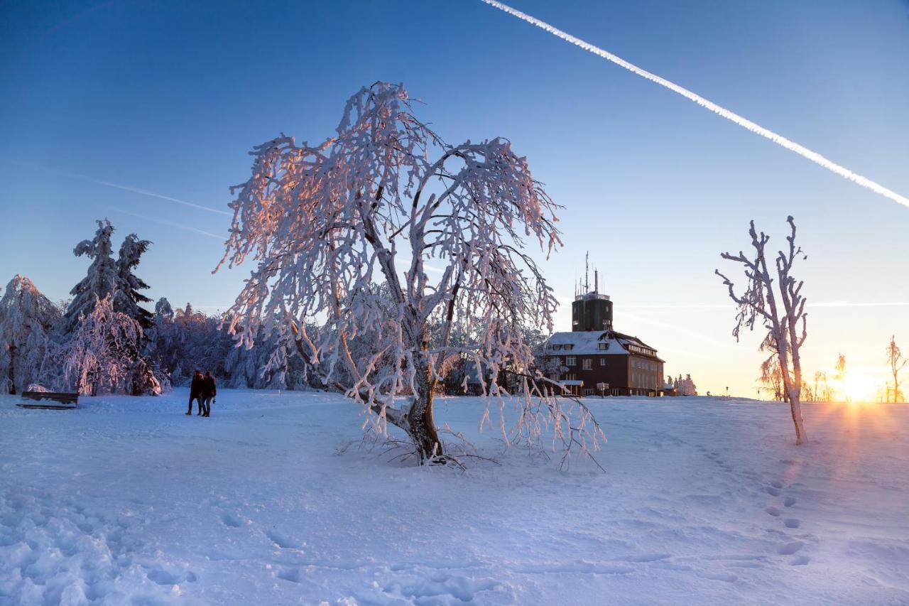 The Suite Winterberg Deluxe - Exklusive Ausstattung, Bestlage Zwischen Skikarussell Und Marktplatz, Eigener Garten, Ski- Und Fahrradraum, Ruhige Suedausrichtung, Wlan, Hundefreundlich Екстериор снимка