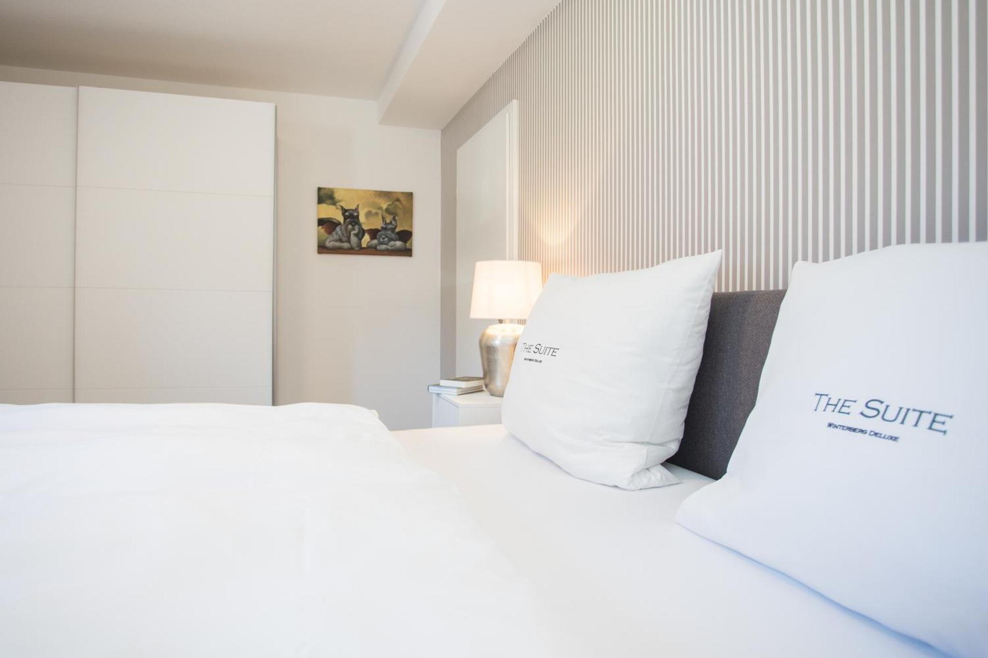 The Suite Winterberg Deluxe - Exklusive Ausstattung, Bestlage Zwischen Skikarussell Und Marktplatz, Eigener Garten, Ski- Und Fahrradraum, Ruhige Suedausrichtung, Wlan, Hundefreundlich Екстериор снимка