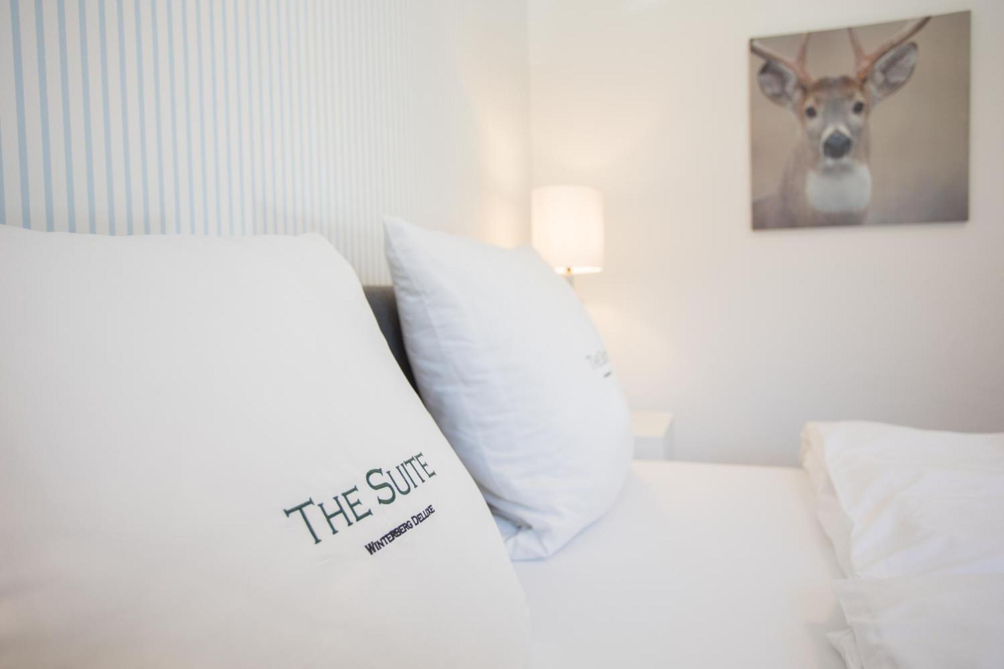 The Suite Winterberg Deluxe - Exklusive Ausstattung, Bestlage Zwischen Skikarussell Und Marktplatz, Eigener Garten, Ski- Und Fahrradraum, Ruhige Suedausrichtung, Wlan, Hundefreundlich Екстериор снимка